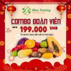Combo Đoàn Viên