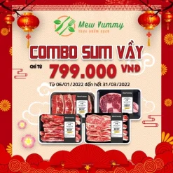 Combo Sum Vầy